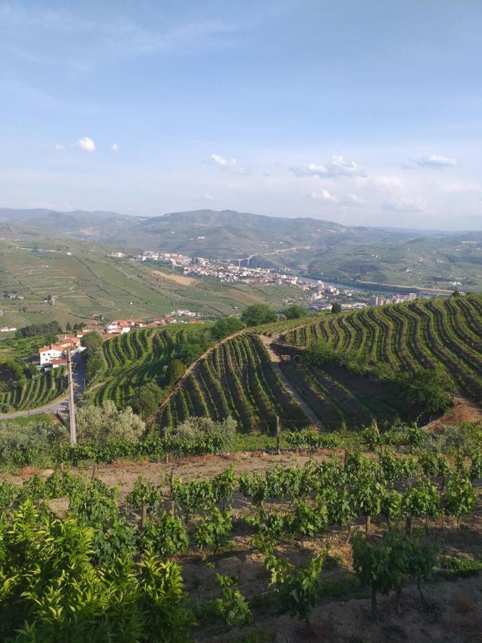 Retiro Da Quinta Do Souto Βίλα Peso da Régua Εξωτερικό φωτογραφία